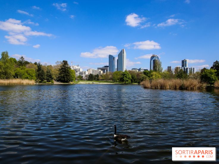 Parc André Malraux à Nanterre, nos photos - IMG 9748