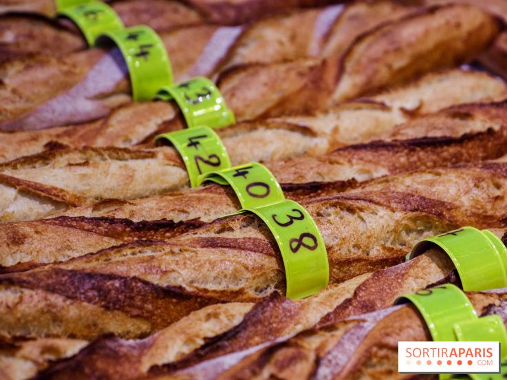 Concours de la meilleure baguette de Paris 2023 - Visuel baguette pain