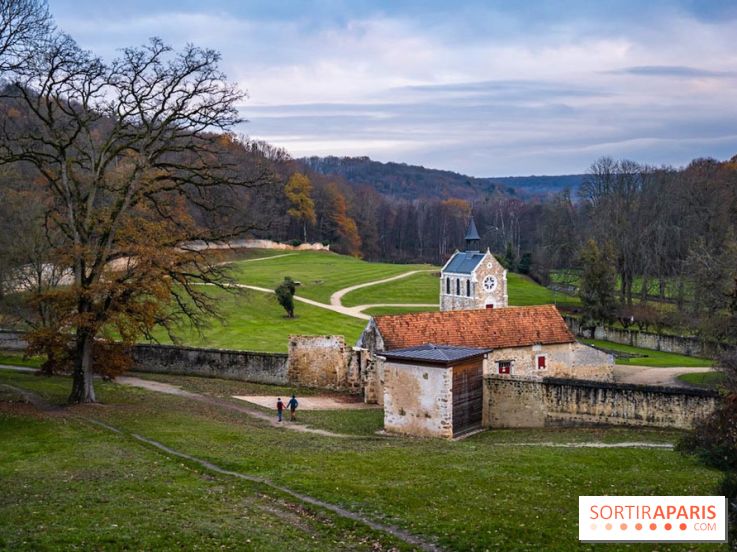Domaine National de Port-Royal des Champs dans les Yvelines -  A7C3310