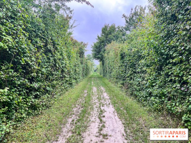 Le parc de la Haute-Île à Neuilly-sur-Marne - image00003