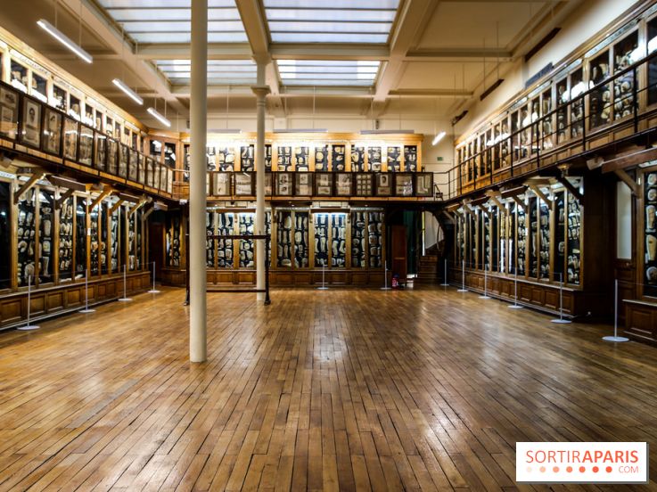 Musée des Moulages à Paris, nos photos - IMG 0843