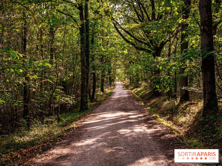 Le sentier des Maréchaux à Senlisse - Vallée de Chevreuse - départ