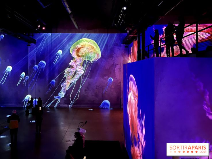 Océans, l'Odyssée Immersive à l'Atelier des Lumières