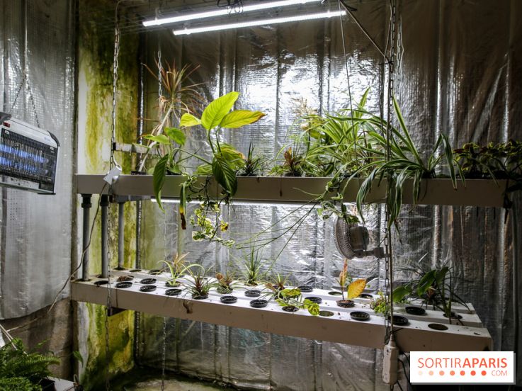 La Caverne, ferme urbaine bio à Paris, nos photos