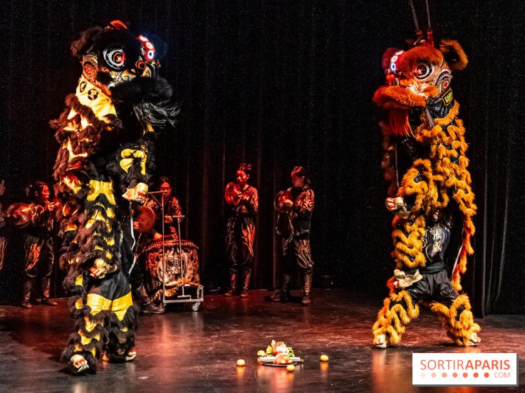 Nouvel An lunaire au Musée Guimet par le Collectif Banh Mi -  A7C6980