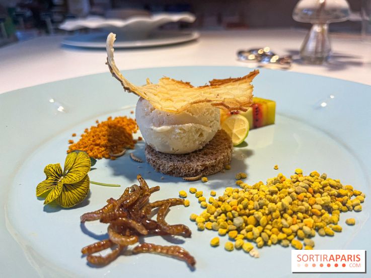 Inoveat, le restaurant gastronomique d'insectes à Paris - nos photos
