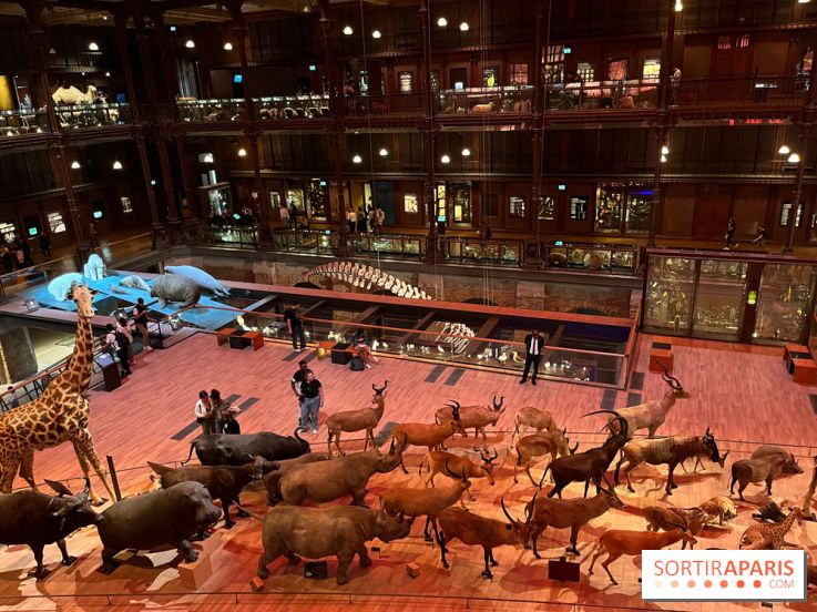 Grande Galerie de l'évolution- visuels 2024 - image00033