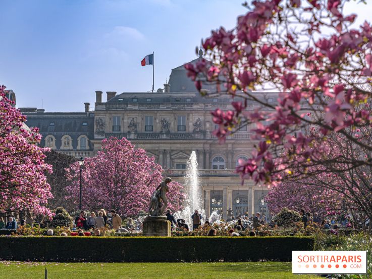 Les magnolias du Jardin du Palais Royal  - printemps - visuel Paris