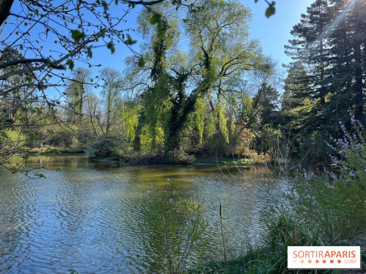Lac de Saint-Mandé - nos photos - WhatsApp 03 22 à 16.12.39 4c5a0a5e