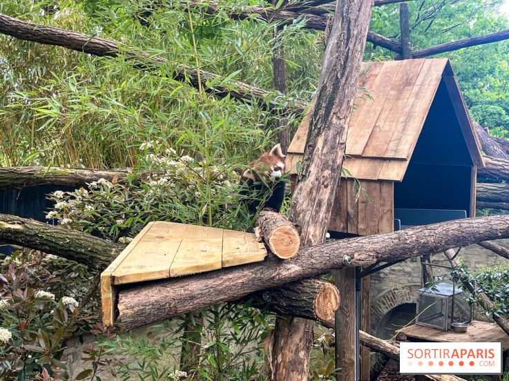 Ménagerie du Jardin des Plantes 2024 - nos photos - image00019