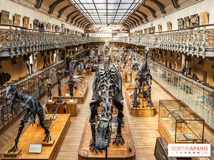 La Galerie de Paléontologie et d'Anatomie comparée du Muséum au Jardin des Plantes