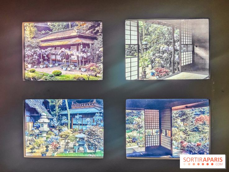Natures vivantes : l'exposition photo qui met à l'honneur les jardins du musée Albert Kahn - photos
