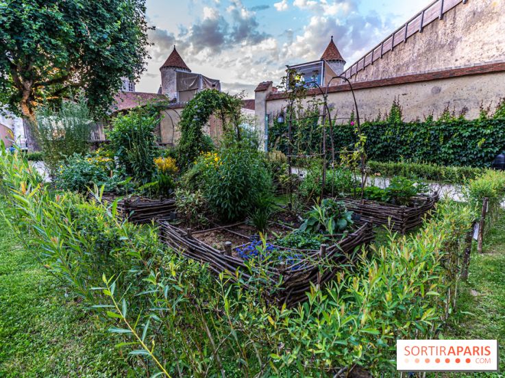 Le Château de Blandy-les-Tours en Seine-et-Marne (77), nos photos -  A7C7993