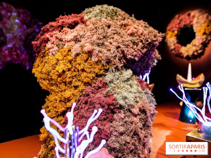 “Forêts astrales” : nos photos de l'exposition gratuite à voir à l'Institut suédois à Paris - IMG 5982