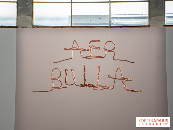 Exposition Praesentia de Myriam Mihindou au Palais de Tokyo - DSC 1631