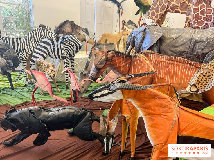 La faune en plis - nos photos - image00002