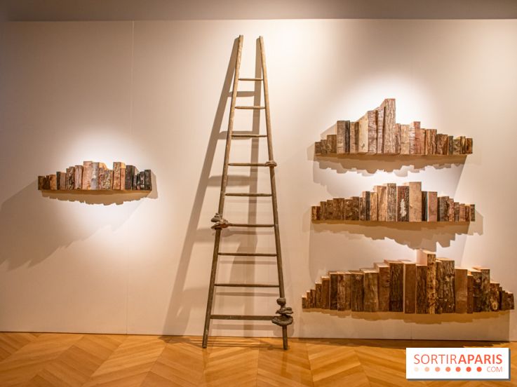 Exposition Les Cimes de l’Asphalte de Duy Anh Nhan Duc à l’Espace Richaud - DSC 2047