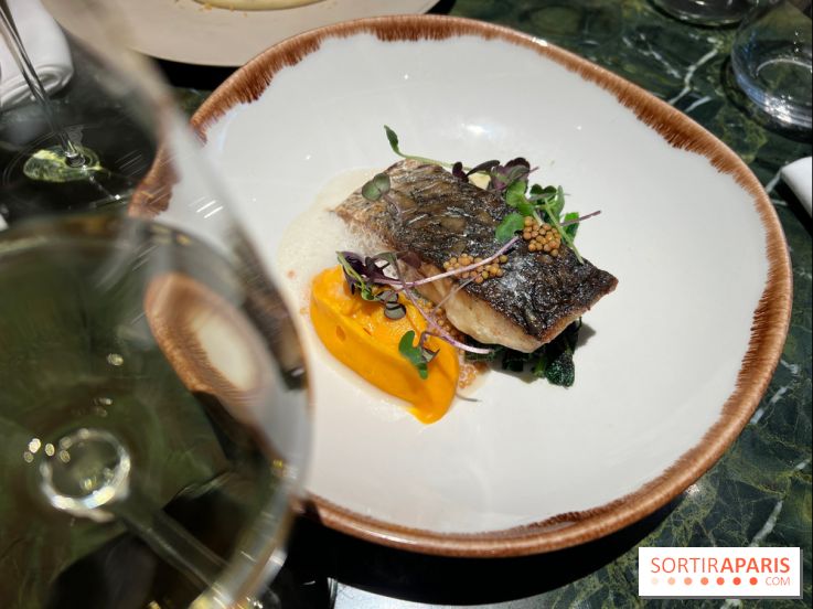 Onyx - Poisson, carotte, gingembre