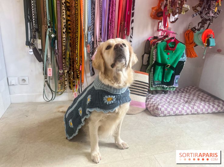 CAYU Canidés Club, la boutique d'accessoires dog friendly - nos photos
