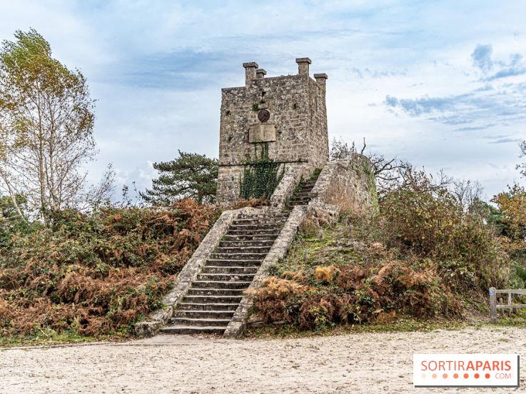 Randonnée à Fontainebleau : le sentier sur les pas de Denecourt jusqu’à la Tour Denecourt -  A7C7600