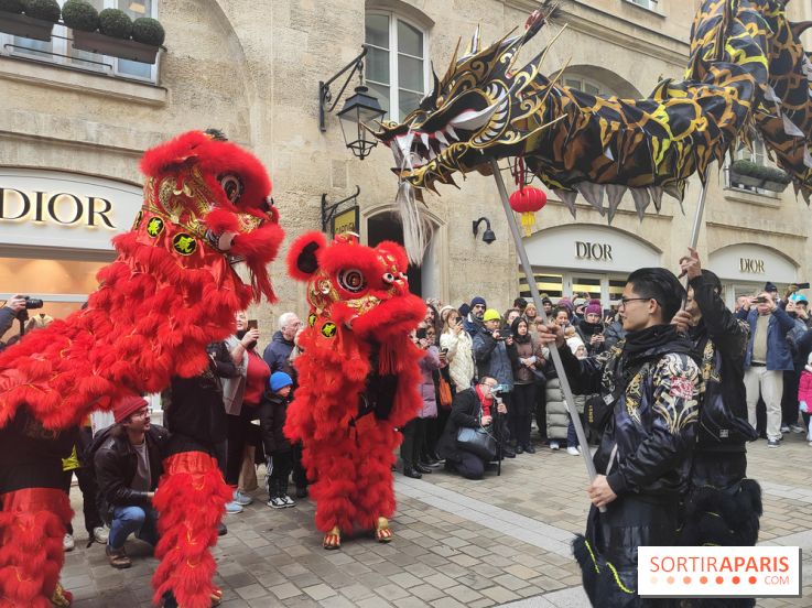 Défilé du Nouvel An Lunaire-Chinois Faubourg Saint-Honoré  - IMG20250205125006