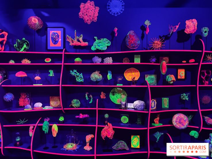 Digital Abysses au musée en Herbe - nos photos - 0129F15A 5778 46C1 BB45 E8B6ED6C3104