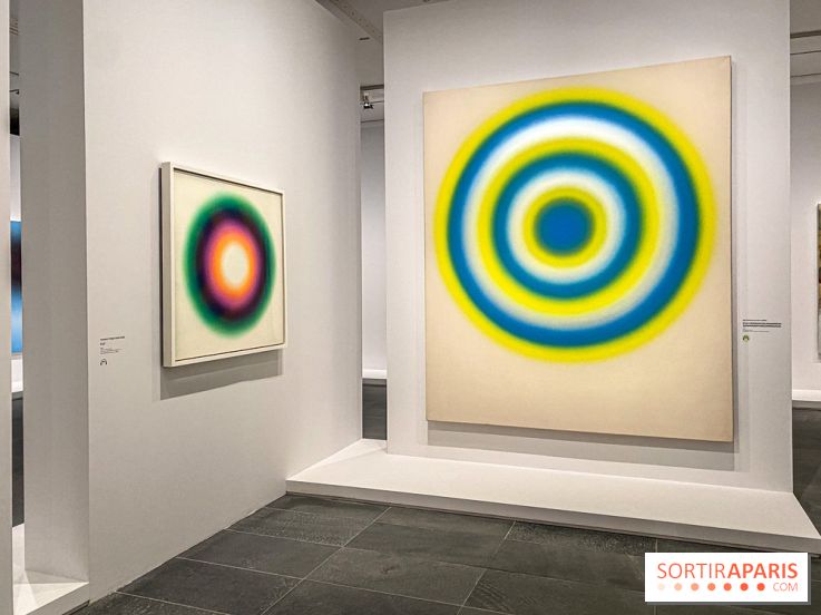 Dans le Flou, l'exposition dans le brouillard au Musée de l'Orangerie - IMG 5299