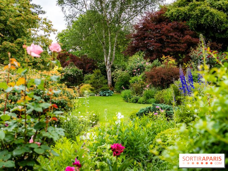 Le Jardin des Aubépines a Auffargis  - A7C01416