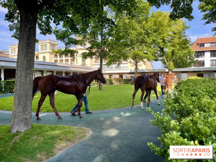 Jeuxdi by Longchamp - chevaux