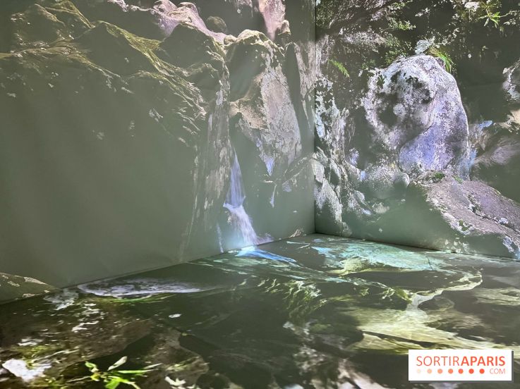 Topologie de l’Eau : Roches, Plantes et Vent - IMG 3261