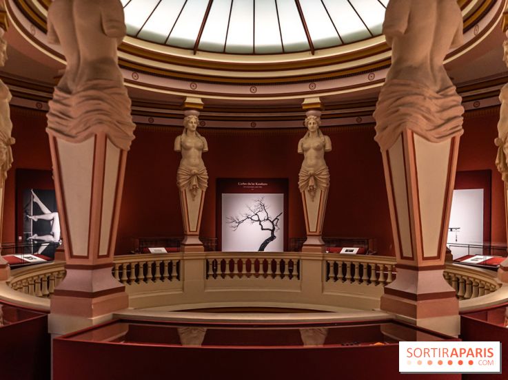 Exposition Haïkus d’argent, l’Asie photographiée par Michael Kenna au MuséeGuimet, les photos - A7C02201