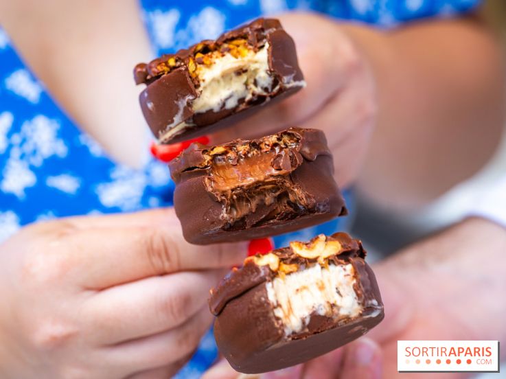 Les bouchées glacées de la Chocolaterie William Artigue, les esquimaux gourmands