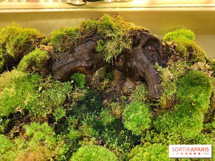 Jardiner : une exposition au cœur de la nature à vivre à la Cité des Sciences et de l'Industrie