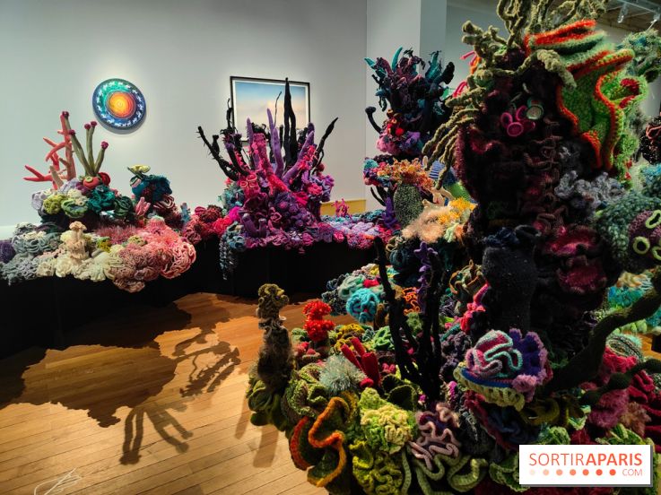 Migrations et climat : une exposition instructive au Palais de la Porte Dorée, nos photos - fotor 1760535417931