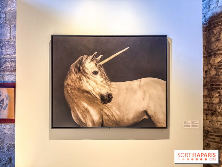 Licornes ! : l’exposition du Musée de Cluny à Paris explore le mythe de la créature légendaire