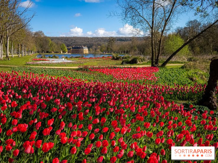 Les tulipes du Château de Dampierre, son jardin anglais et le jardin Le Nôtre