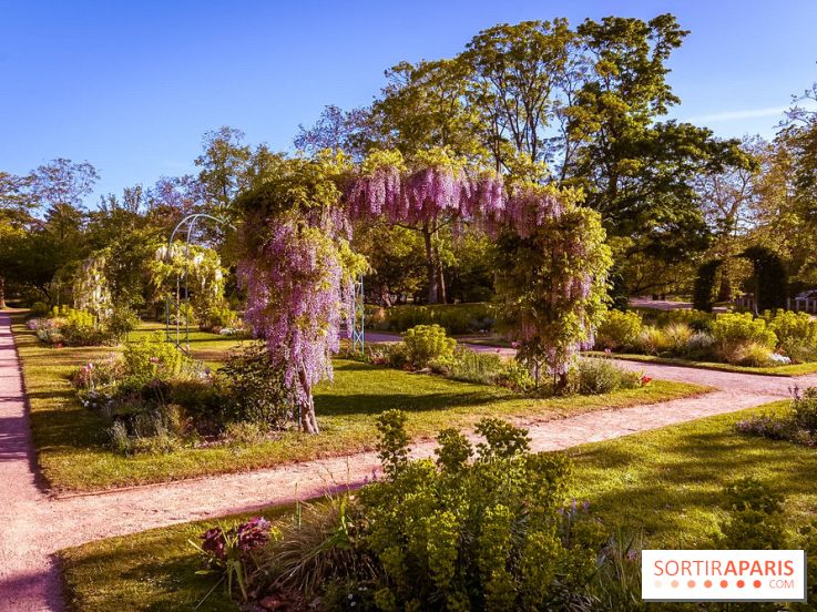 Le Parc des Ibis au Vésinet dans les Yvelines en Région Parisienne - photos  - A7200441