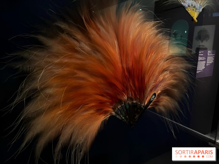 Plumes de Paradis, l'expo au musée du Quai Branly - nos photos