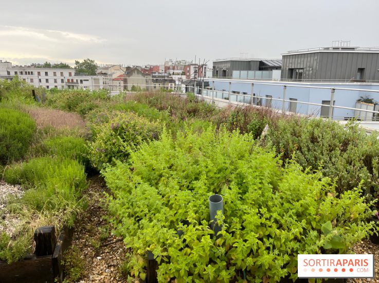 L'aromathèque Persépolis, sur le toit de la bourse du travail à Saint-Denis - nos photos