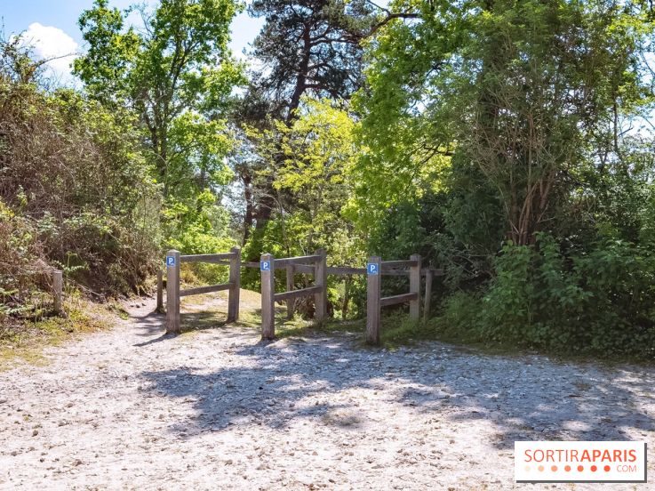 Liaisons douces à Fontainebleau : la forêt à vélo, les photos