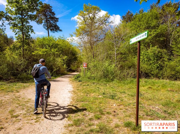 Liaisons douces à Fontainebleau : la forêt à vélo, les photos