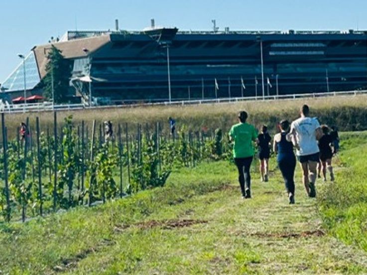 2ème édition du Viti-trail de 10 km du Domaine de Paris Gravelle Dimanche 6 septembre 2026
