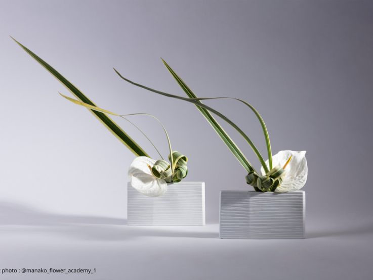 L’art floral japonais à l’honneur : plongez dans la poésie végétale au cœur de Paris !