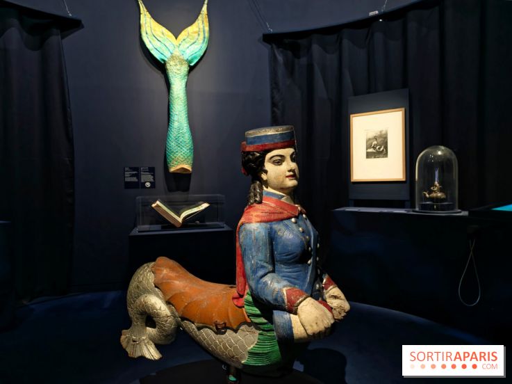 L'appel des profondeurs : partez en exploration avec l'exposition du Musée national de la Marine