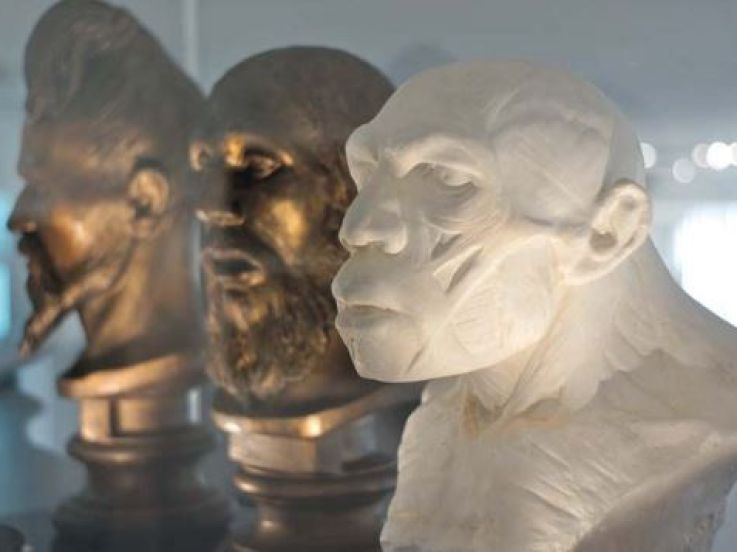 Néandertal, la grande expo au Musée de l'Homme