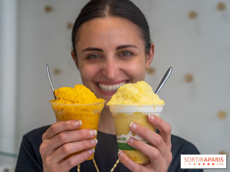 Les glaces granité-neige ultra rafraichissantes de Jade Génin façon kakigori 2024