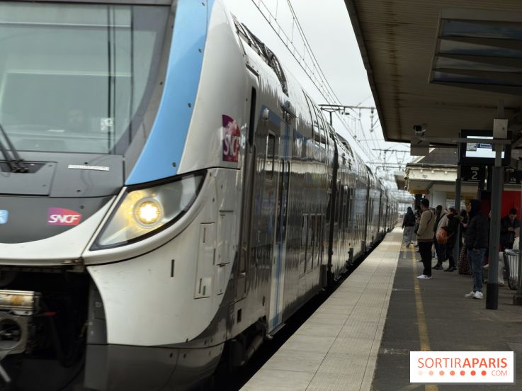 Transports à Paris et en Ile-de-France : les perturbations RER, métro du 26 janvier au 1er février