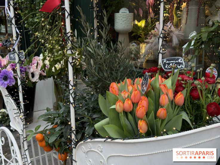 La foire aux Plantes de Crèvecœur-En-Brie 2026 (77)