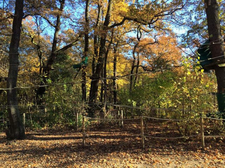 Evasion verte, le parcours accrobranche du Parc Floral de Paris, saison 2025