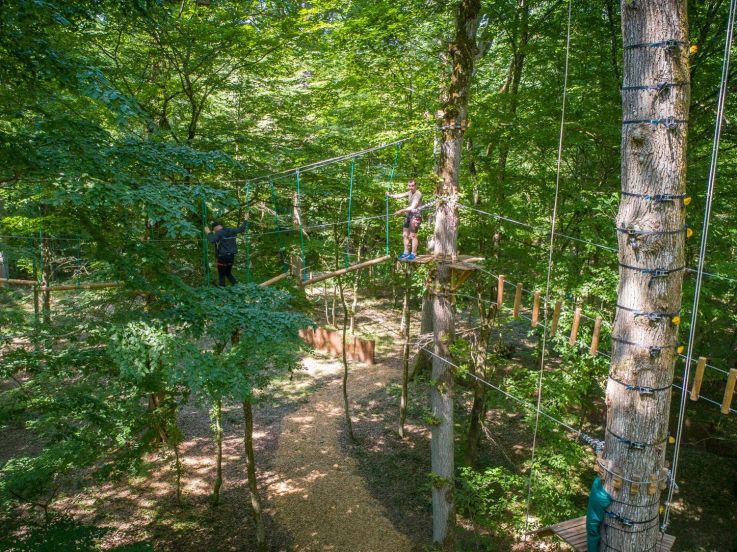 Jumping Forest, le parcours d'accrobranche ludique en forêt en seine-et-Marne (77)
